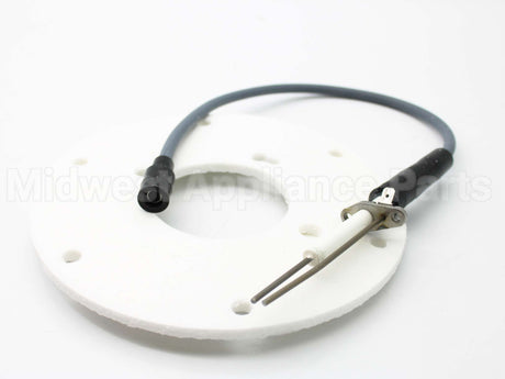 100191120 Lochinvar & A.o. Smith Spark Ignitor Assembly