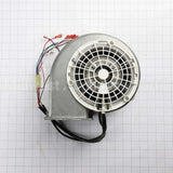 10019409 Bosch Blower Motor