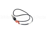 100208548 Lochinvar & A.o. Smith Immersion Outlet Sensor