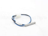 100208557 Lochinvar & A.o. Smith Dual Outlet Sensor