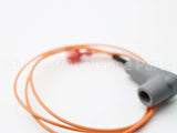 100208631 Lochinvar & A.o. Smith Wiring Harness