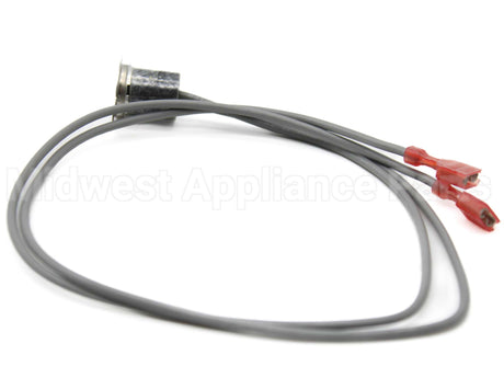 100210102 Lochinvar & A.o. Smith Hi Limit Switch