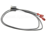 100210102 Lochinvar & A.o. Smith Hi Limit Switch