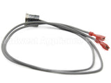 100210102 Lochinvar & A.o. Smith Hi Limit Switch