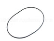 100233698 Lochinvar & A.o. Smith Venturi Gasket