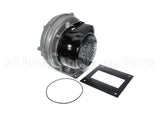 100274101 Lochinvar & A.o. Smith Fan Assembly