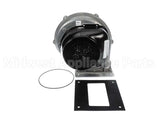 100274101 Lochinvar & A.o. Smith Fan Assembly