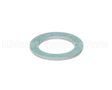 100275538 Lochinvar & A.o. Smith Gas Valve Adapter Gasket