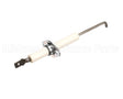 100327001 Lochinvar & A.o. Smith Flame Sensor Kit