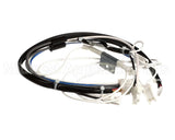 1004F-2054 Rinnai Motor Lead Assy B (See Notes) 263