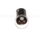 10057 Gaylord 6V Bulb
