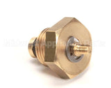 10060051 Rancilio Antivacuum Valve For Temp. Sen