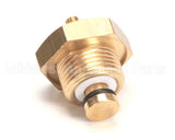 10060051 Rancilio Antivacuum Valve For Temp. Sen
