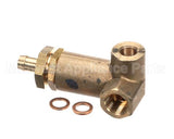 10060406 Rancilio Expansion Valve Miss