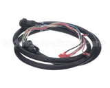 100969 Blodgett Cord, Vlf/Vlh To Top, Qc