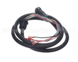 100969 Blodgett Cord, Vlf/Vlh To Top, Qc