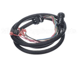 100969 Blodgett Cord, Vlf/Vlh To Top, Qc