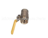 100FV Dormont 1 Fip X 1 Fip (Full Port Valve)