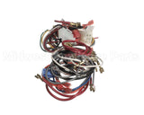 1010762R Nordyne Wiring Harness