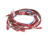 101130 Groen Hy-6E 240V Contactor And