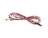 1011351-67 Ice O Matic Harness 50 Hz