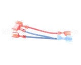101313 Blodgett Wire Kit