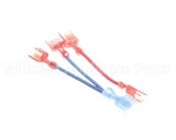 101313 Blodgett Wire Kit