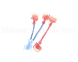 101313 Blodgett Wire Kit