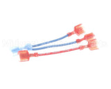 101313 Blodgett Wire Kit
