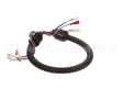 1015-V2-2 Globe Harness A3875, A3750