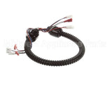 1015-V2-2 Globe Harness A3875, A3750