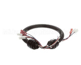 1015-V2-2 Globe Harness A3875, A3750