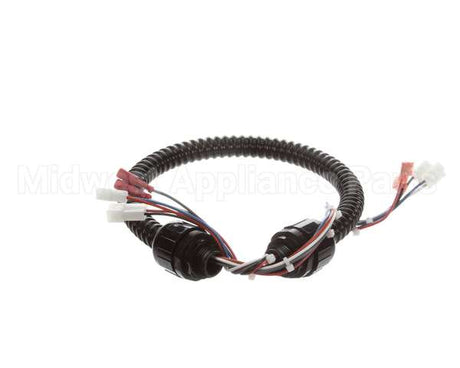 1015-V2-2 Globe Harness A3875, A3750
