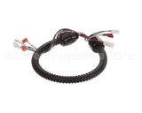 1015-V2-2 Globe Harness A3875, A3750