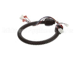 1015-V2-2 Globe Harness A3875, A3750