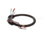 1015-V2-2 Globe Harness A3875, A3750