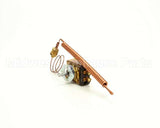 101542 Groen Thermostat Kit