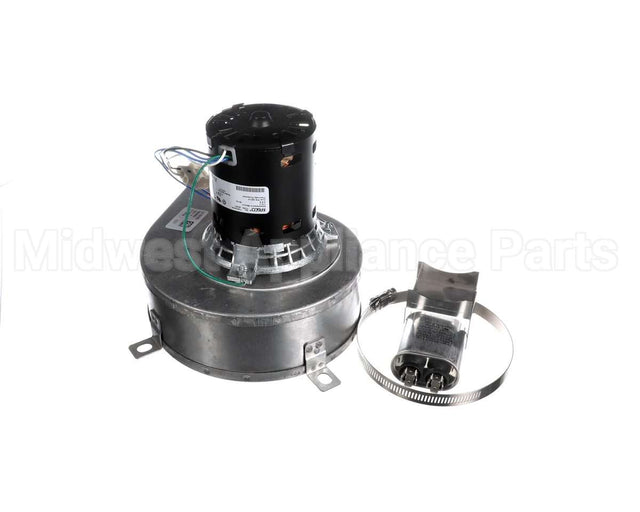 101559 Blodgett Blower Assy,Hoodini W/Cap 120V