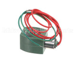10156 Gaylord 120V Replace Coil For Water So
