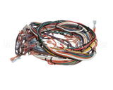 102213 Groen Harness Wire