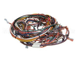 102213 Groen Harness Wire