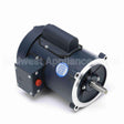 102865 Leeson Motor