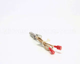 10291 Nieco Igniter, Hot Surface, 24V