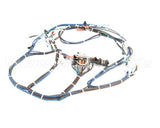 103022 Turbochef Harness Line Voltage Hhb