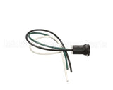 1033 Crown Tonka Plug Female 10