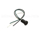 1033 Crown Tonka Plug Female 10