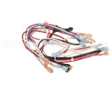104189 Cleveland Harness, Wire, Conv Steamer; Ncc Timer