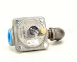 10441 Blodgett Regulator Assembly, Pressure Lp De