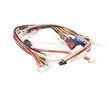 105000035 Rinnai Sensor Harness/ R94-Lsi