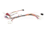 105000036 Rinnai Sensor Harness R75-Lsi